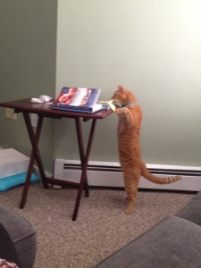 Marty trying to read my book too